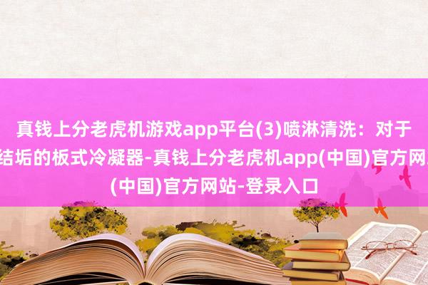 真钱上分老虎机游戏app平台(3)喷淋清洗：对于上层大面积结垢的板式冷凝器-真钱上分老虎机app(中国)官方网站-登录入口